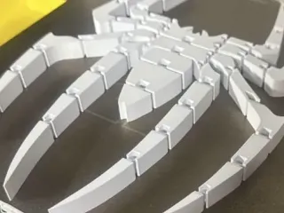 Flexi SpiderMan Logo