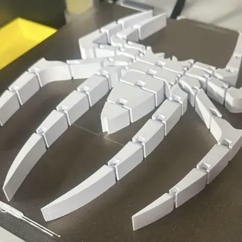 Flexi SpiderMan Logo