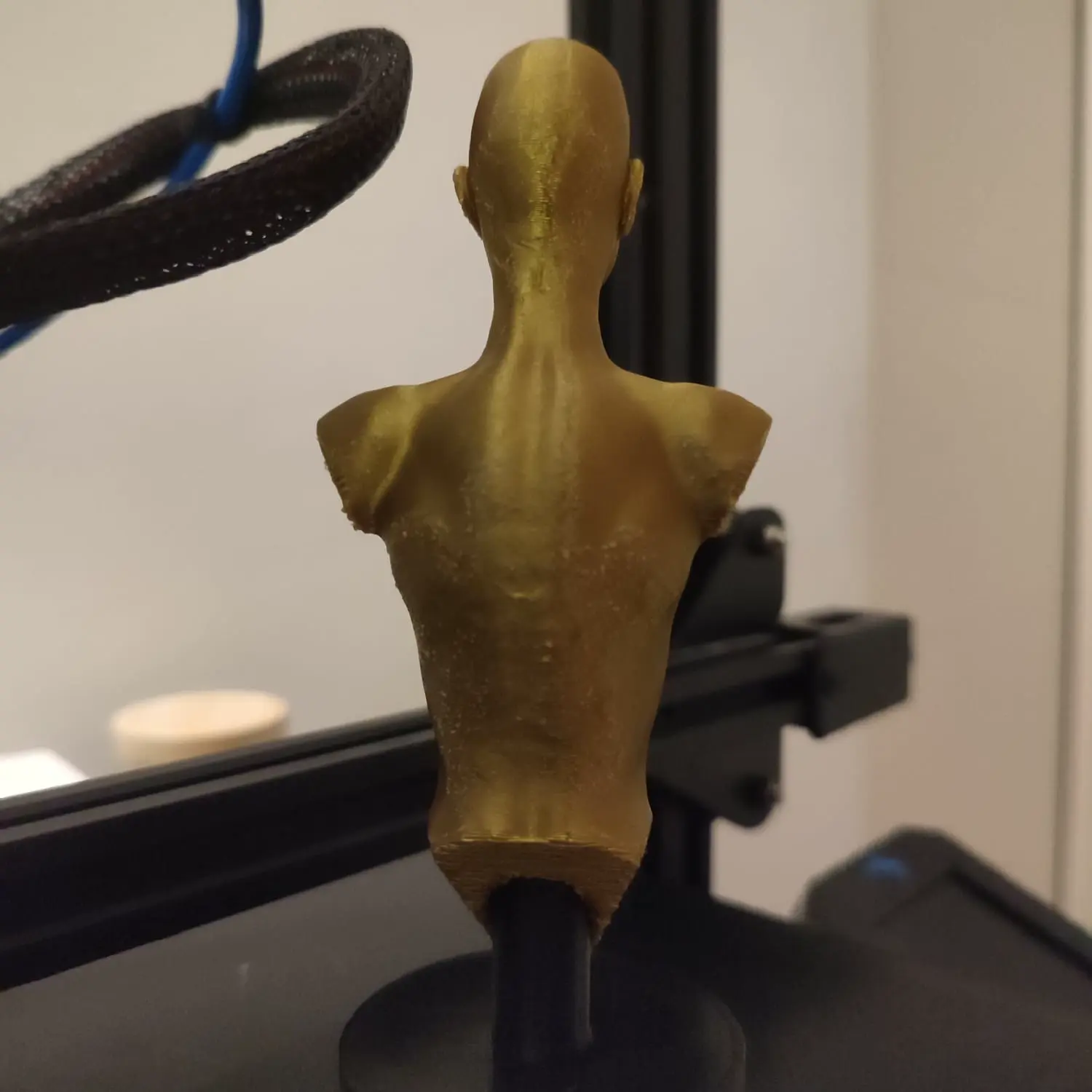 Female Bust