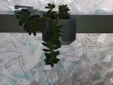 window pot or planter -1