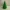 Albero di natale 90 mm
