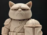 Grumpy Cat Mandalorian-1