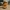 Gummiente - Woody Toy Story Modell - 3D-Druck