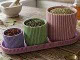 Jars for various-1