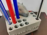 Lapicero Carpincho / Capybara Pen Holder-0