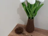 vazo-0