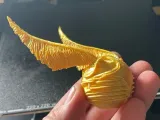 Boccino d'Oro, Harry Potter-0