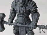 Lion Warrior-0