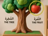 Albadal - Tree with fruit-0