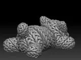 Knitted Flexi Cat-7