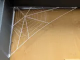 Spiderweb-1