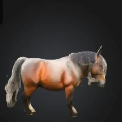 cheval en selle