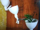 wall clinbing flower pots-0