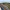 Minecraft Hollanda Grand Prix'si