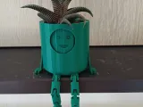 planter with multiple faces-2