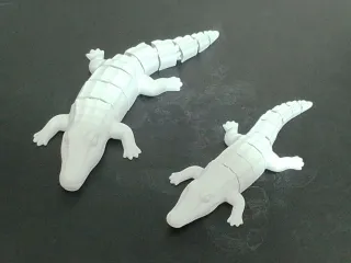 Flexible Caiman