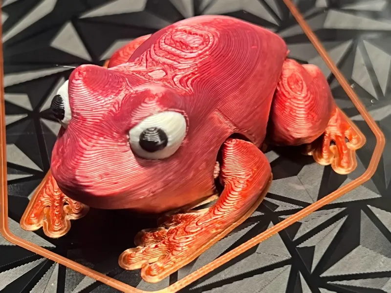 Rana Articolata V1