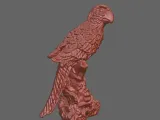 parrot perroquet-1