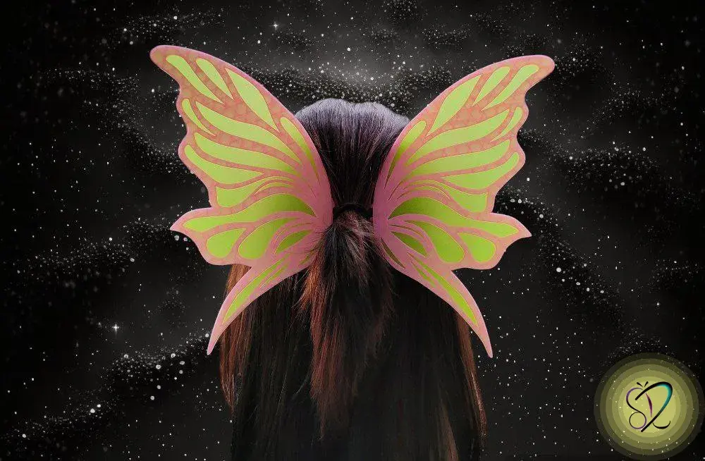 Clip papillon