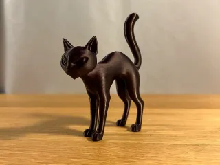 Spooky Cat