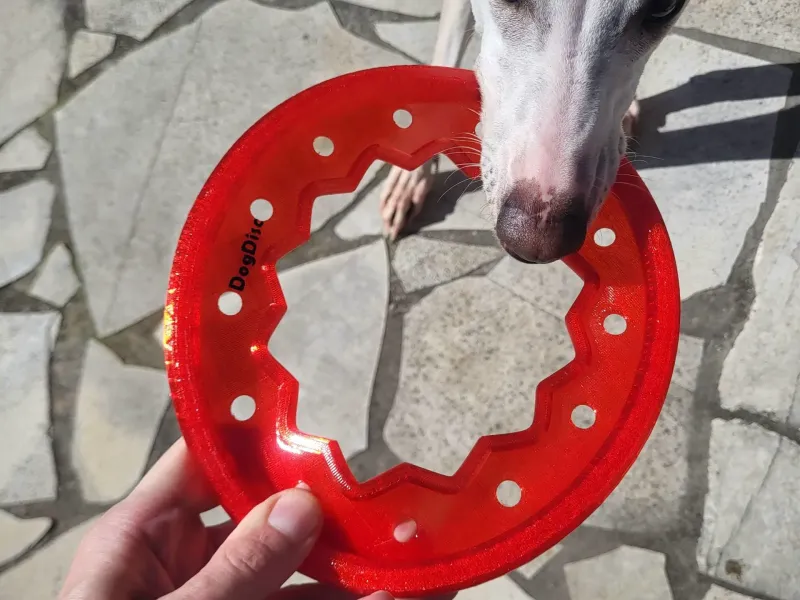 Disco per cani V2 - Frisbee - GIOCATTOLO TPU
