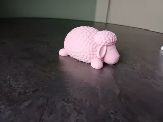 Cute Sleeping Sheep
