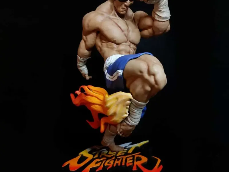 Sagat FanArt (scară 1/6)