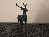 Deer v1.0-4