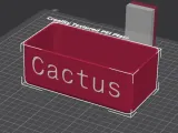 Cactus Box-0
