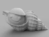 Whelk bulot shell coquillage-3
