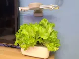 Donut Hydroponic Light Frame-1