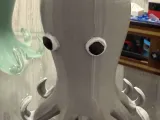 Octopus - 12 Legged (dodecapus)-2