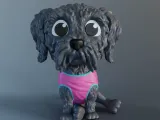 Mascota-0