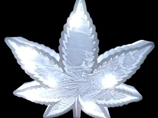 Leaf Outline