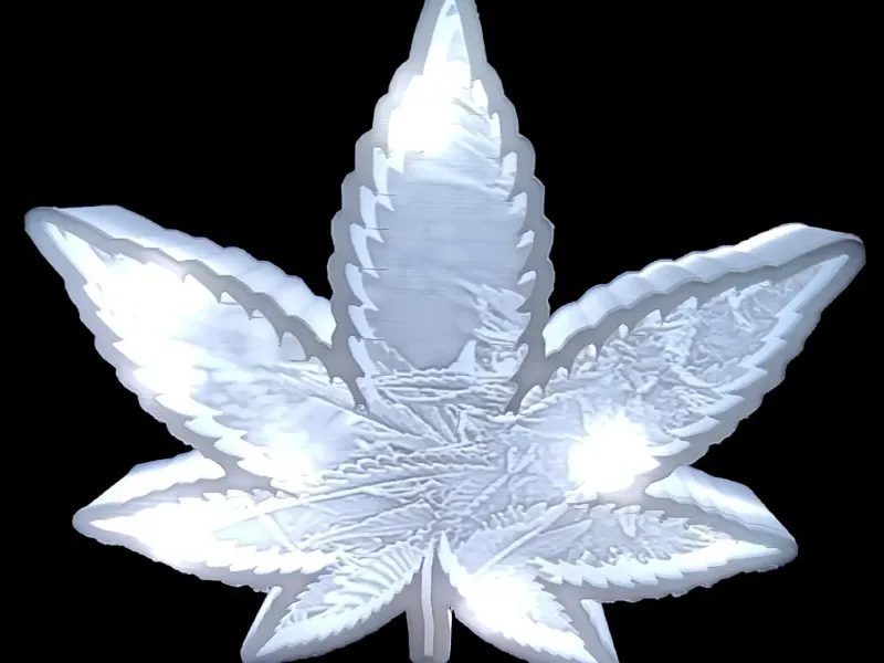 Schéma de la feuille