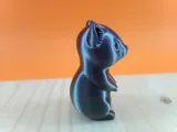 Ermellino Carino-2