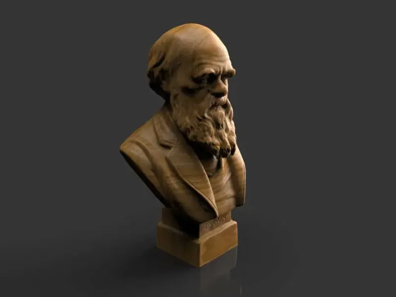 Busto de Charles Robert Darwin 