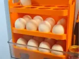 egg storage rack-0