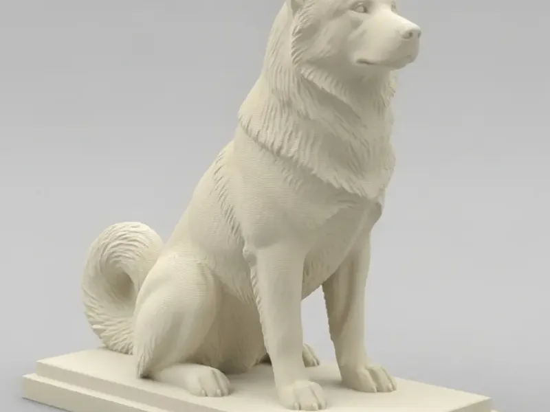 Malamute do Alasca sentado
