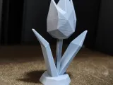 Tulip (Lowpoly)-0