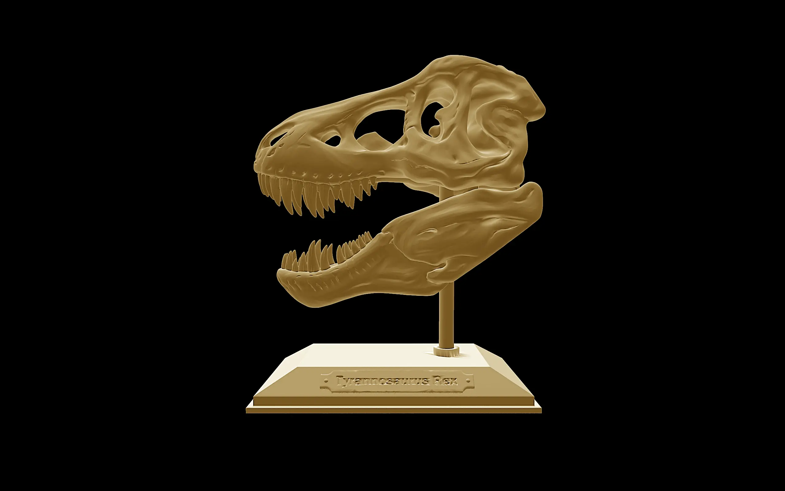 T-Rex Skull With Stund