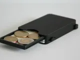 Cardholder-4