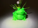 Frog flower pot-5
