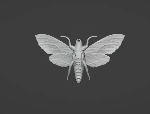 Moth Jewlery Pendant