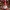 Gnome - Santa Claus Christmas Decoration