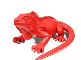 Iguana-1