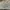 Very Large Hogwarts Map (Harry Potter)