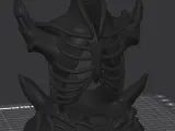 Skeletal base ribs-0