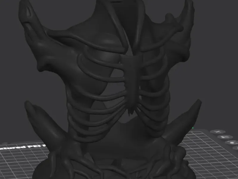 Skeletal base ribs