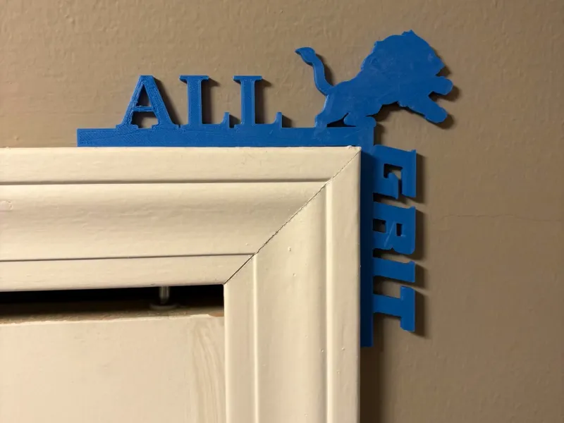 Detroit lions all grit door frame